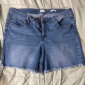 Wonderly Denim Jean Shorts with Frayed Hem